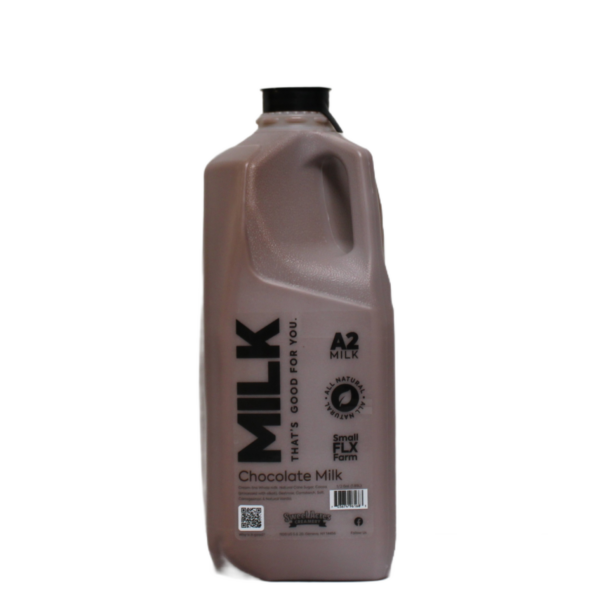 Chocolate Milk - Image 4