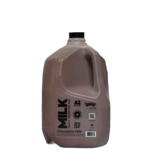 Chocolate Milk - Image 5